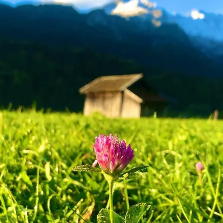 Alpine Escape With Mountain View Γκάρμις-Παρτενκίρχεν