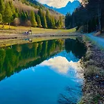 Ferienhaus Alpine Escape With Mountain View *