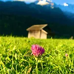 Alpine Escape With Mountain View جارمش بارتنكيرشن