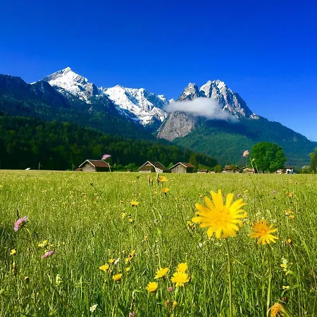 Casa vacanze Alpine Escape With Mountain View *